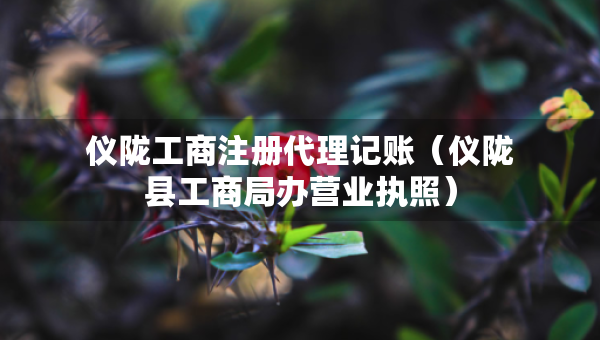 仪陇工商注册代理记账（仪陇县工商局办营业执照）