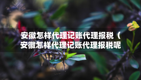 安徽怎样代理记账代理报税（安徽怎样代理记账代理报税呢）
