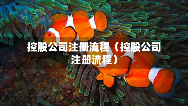 控股公司注册流程（控股公司注册流程）