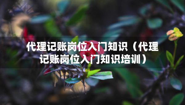 代理记账岗位入门知识（代理记账岗位入门知识培训）