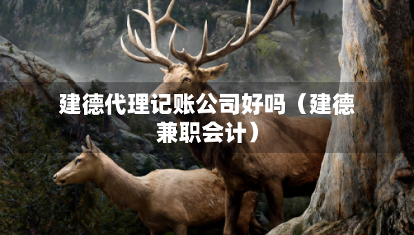 建德代理记账公司好吗（建德兼职会计）