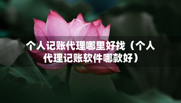 个人记账代理哪里好找（个人代理记账软件哪款好）