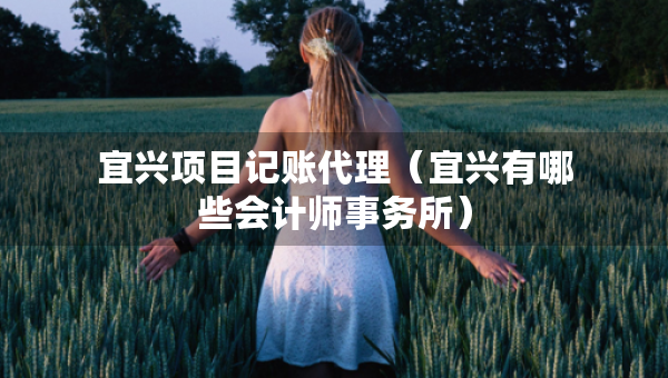 宜兴项目记账代理（宜兴有哪些会计师事务所）