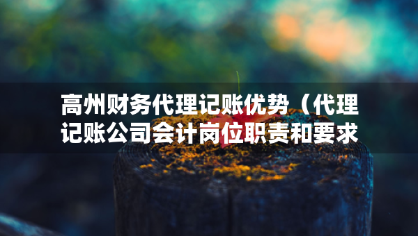 高州财务代理记账优势（代理记账公司会计岗位职责和要求）