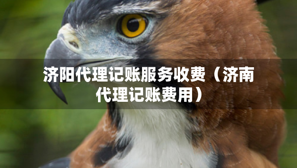 济阳代理记账服务收费(济南代理记账费用) 济阳代理记账服务收费(济南代理记账费用)