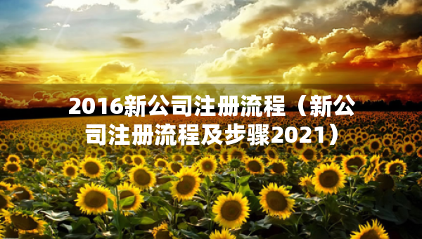 2016新公司注册流程（新公司注册流程及步骤2021）