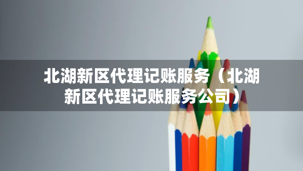 北湖新区代理记账服务（北湖新区代理记账服务公司）