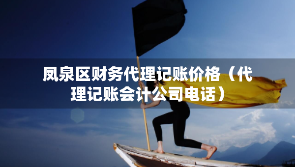 凤泉区财务代理记账价格（代理记账会计公司电话）