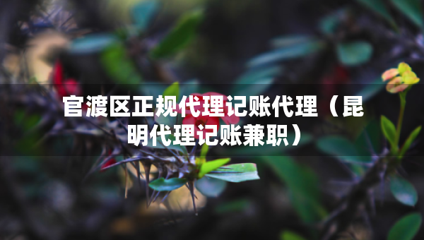 官渡区正规代理记账代理（昆明代理记账兼职）