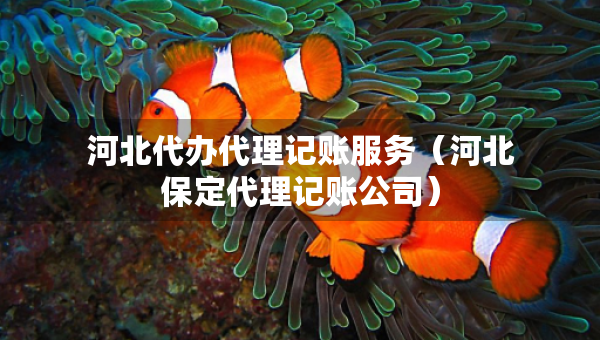 河北代办代理记账服务（河北保定代理记账公司）