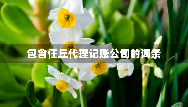 包含任丘代理记账公司的词条