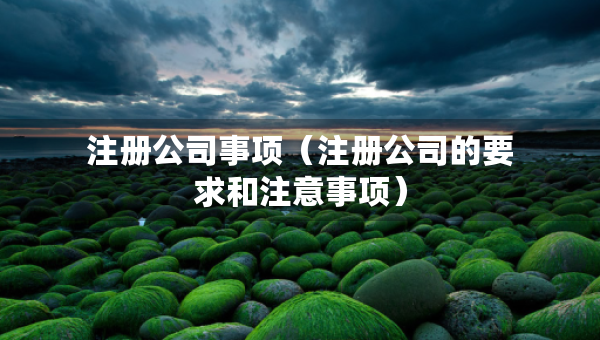 注册公司事项（注册公司的要求和注意事项）