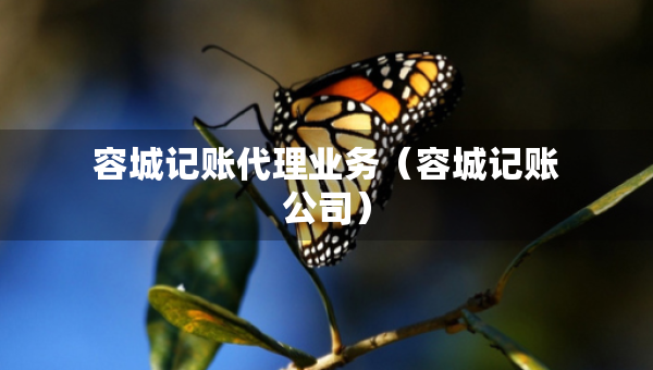 容城记账代理业务（容城记账公司）
