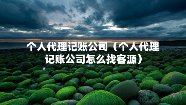 个人代理记账公司（个人代理记账公司怎么找客源）