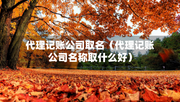 代理记账公司取名（代理记账公司名称取什么好）