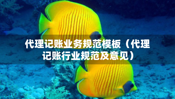 代理记账业务规范模板（代理记账行业规范及意见）