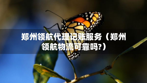 郑州领航代理记账服务（郑州领航物流可靠吗?）