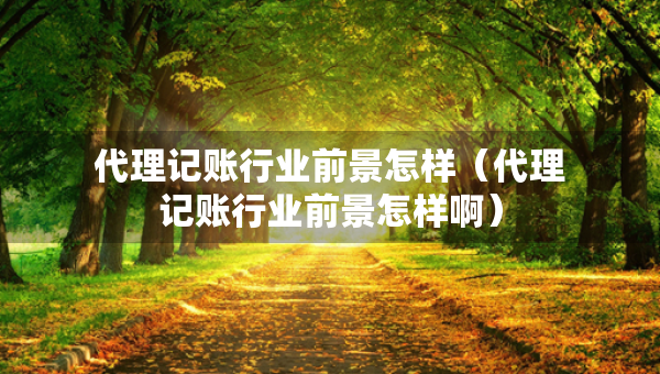 代理记账行业前景怎样（代理记账行业前景怎样啊）