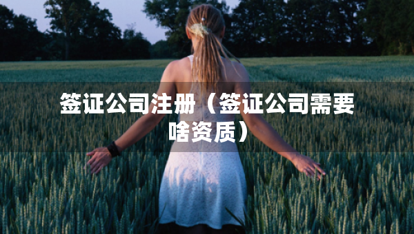 签证公司注册（签证公司需要啥资质）