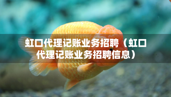虹口代理记账业务招聘（虹口代理记账业务招聘信息）