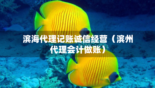 滨海代理记账诚信经营（滨州代理会计做账）