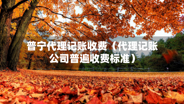 普宁代理记账收费（代理记账公司普遍收费标准）