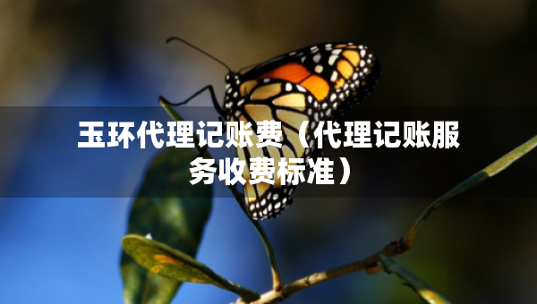 玉环代理记账费（代理记账服务收费标准）