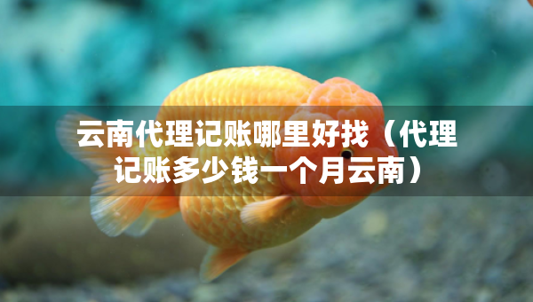 云南代理记账哪里好找（代理记账多少钱一个月云南）