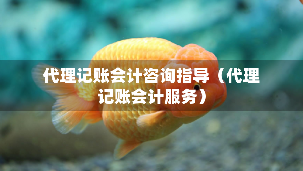 代理记账会计咨询指导（代理记账会计服务）