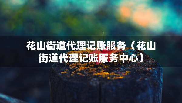 花山街道代理记账服务（花山街道代理记账服务中心）