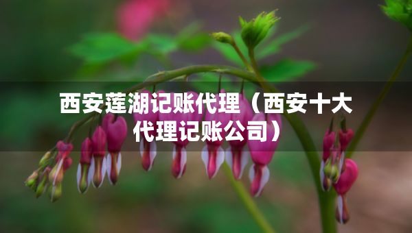 西安莲湖记账代理（西安十大代理记账公司）
