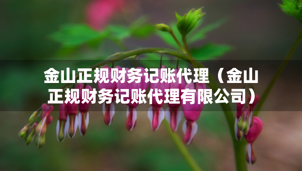 金山正规财务记账代理（金山正规财务记账代理有限公司）
