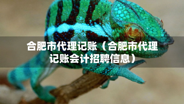 合肥市代理记账（合肥市代理记账会计招聘信息）