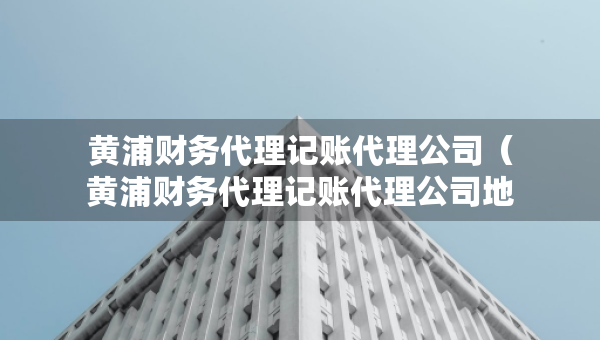 黄浦财务代理记账代理公司（黄浦财务代理记账代理公司地址）