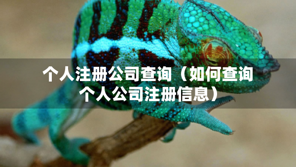 个人注册公司查询（如何查询个人公司注册信息）