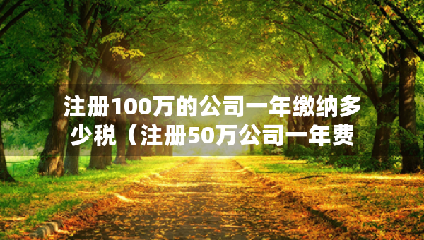 注册100万的公司一年缴纳多少税（注册50万公司一年费用）