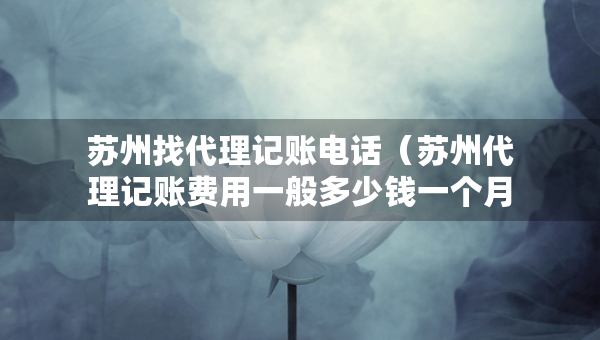 苏州找代理记账电话（苏州代理记账费用一般多少钱一个月）
