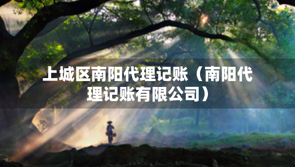 上城区南阳代理记账（南阳代理记账有限公司）