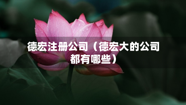 德宏注册公司（德宏大的公司都有哪些）