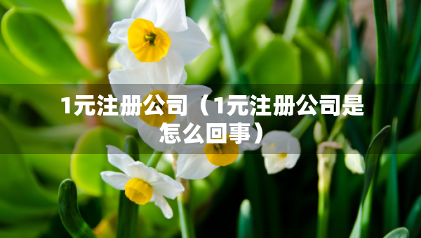 1元注册公司（1元注册公司是怎么回事）