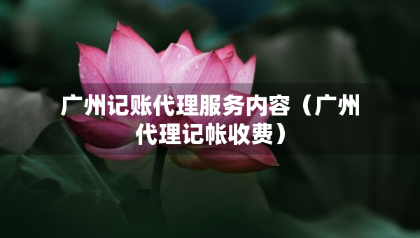 广州记账代理服务内容（广州代理记帐收费）