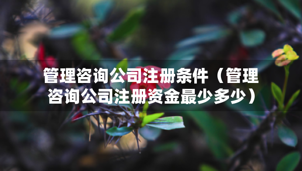 管理咨询公司注册条件（管理咨询公司注册资金最少多少）
