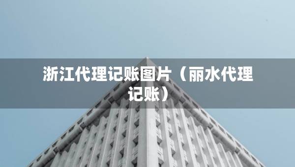 浙江代理记账图片（丽水代理记账）