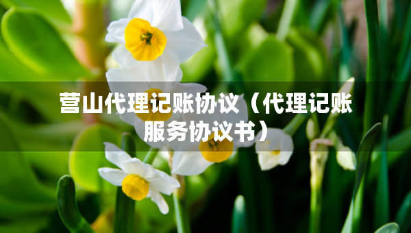 营山代理记账协议（代理记账服务协议书）