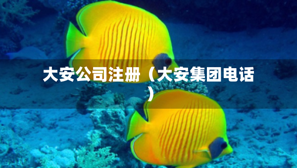 大安公司注册（大安集团电话）