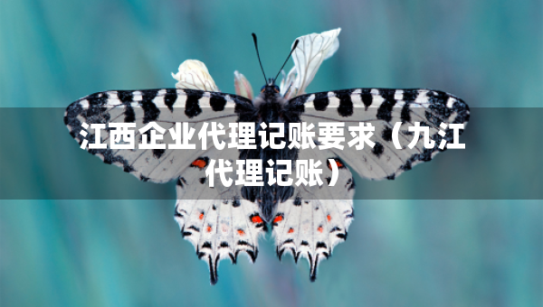 江西企业代理记账要求（九江代理记账）