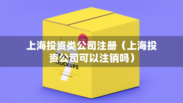 上海投资类公司注册（上海投资公司可以注销吗）
