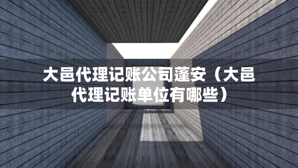 大邑代理记账公司蓬安（大邑代理记账单位有哪些）