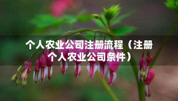 个人农业公司注册流程（注册个人农业公司条件）