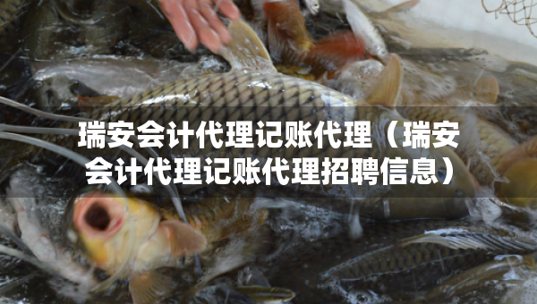瑞安会计代理记账代理（瑞安会计代理记账代理招聘信息）